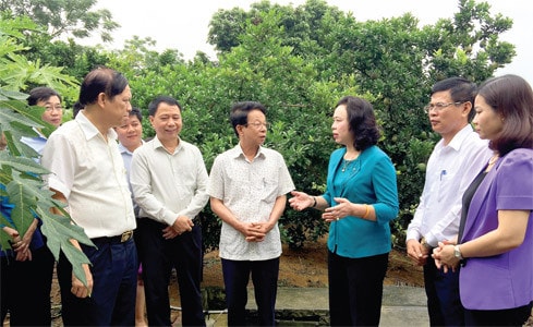 Ban chỉ đạo Chương trình 02 thăm mô hình sản xuất tại xã Đông Yên, huyện Quốc Oai Ảnh: Đào Cảnh