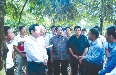 Phó Chủ tịch Quốc hội Phùng Quốc Hiển và Đoàn công tác thăm mô hình trang trại trồng xen canh cà phê - sầu riêng tại xã Ea Yông, huyện Krông Păc Ảnh: Hà Nam