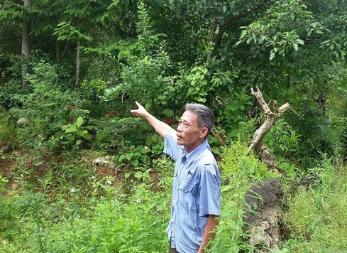 Ảnh: Bảo Hân