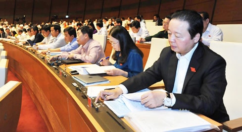 Đòan ĐBQH Bà Rịa - Vũng Tàu biểu quyết thông qua Luật Bảo vệ và phát triển rừng (sửa đổi) Ảnh: Quang Khánh