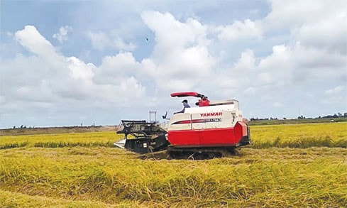 Agribank - cầu nối giúp nông dân tiếp cận máy móc và sản xuất hiện đại