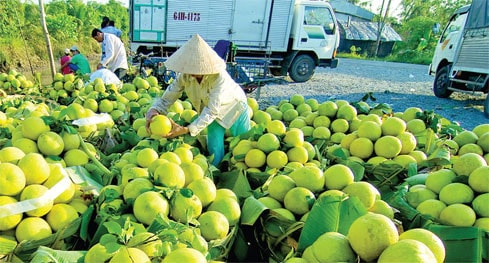 Cách nào tăng nhanh năng suất lao động? ảnh 1