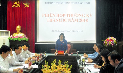 Chuẩn bị tốt cho Hội nghị Thường trực HĐND khu vực ảnh 1