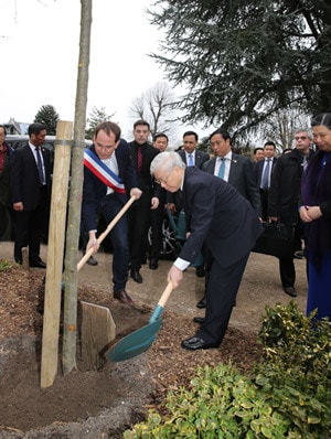 Tổng Bí thư Nguyễn Phú Trọng trồng cây lưu niệm tại Công viên Montreau Ảnh: Trí Dũng