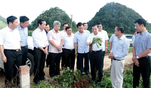 Bộ trưởng Bộ Khoa học và Công nghệ Chu Ngọc Anh đi khảo sát thực tế tại huyện Quản Bạ, tỉnh Hà Giang