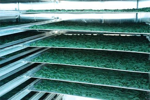 Sản phẩm tảo xoắn Spirulina trong công đoạn sấy tách ẩm