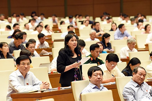 ĐBQH Trần Thị Dung (Điện Biên) Ảnh: Lâm Hiển