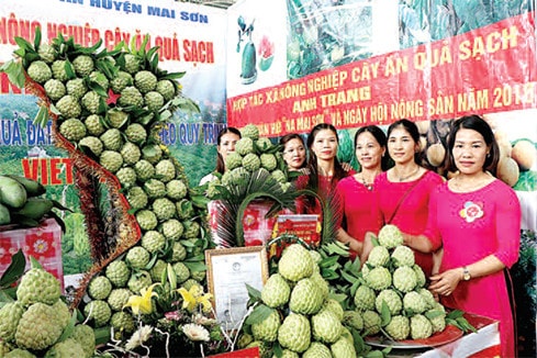 Ngày hội na Mai Sơn, tỉnh Sơn La - Ảnh: Đức Tuấn