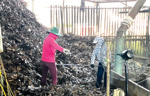 HTX dịch vụ Nông lâm nghiệp tổng hợp Công tâm cần vốn đầu tư dây chuyền chế biến tinh dầu quế Ảnh: Xuân Việt