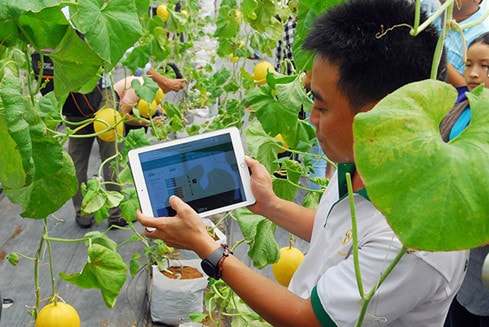 Sàn thương mại điện tử gcaeco.vn sẽ đem lại nhiều ý nghĩa cho nền nông nghiệp Việt Nam