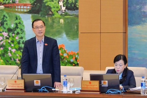 Chủ nhiệm Ủy ban Kinh tế Vũ Hồng Thanh phát biểu Ảnh: Quang Khánh