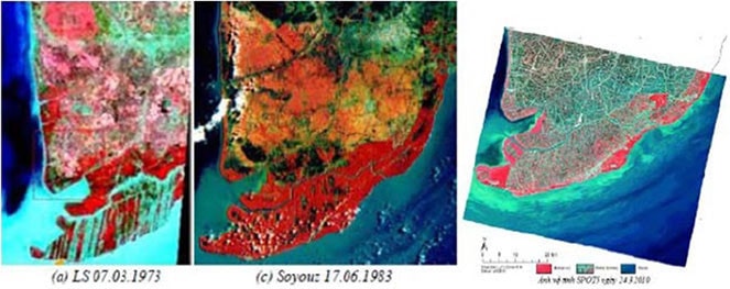 Rừng ngập mặn ở Năm Căn và Ngọc Hiển 1973, 1983 và 2010