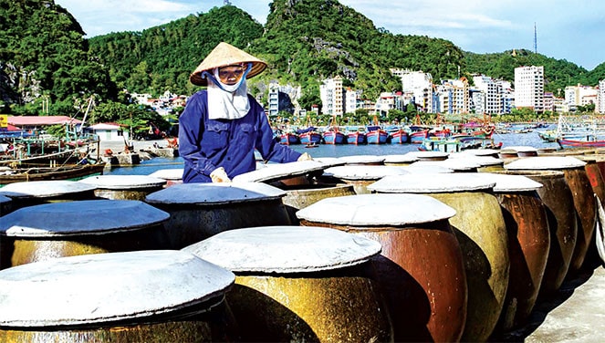 Sản xuất nước mắm truyền thống tại Cát Hải, Hải Phòng