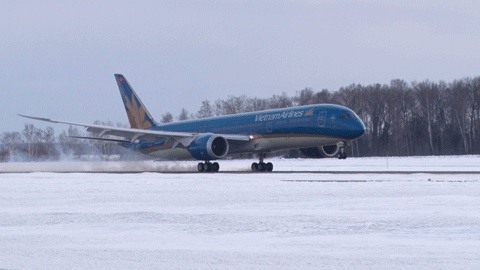 Vietnam Airlines chuyển hoạt động khai thác sang sân bay Sheremetyevo (Nga) ảnh 1