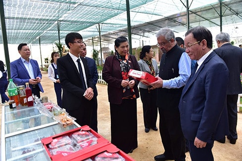 Phó Chủ tịch Thường trực Quốc hội Tòng Thị Phóng cùng Đoàn khảo sát đến thăm một mô hình nông nghiệp công nghệ cao tại Mộc Châu, Son La