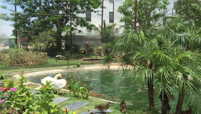 Khám phá thế giới tiện ích 5 sao tại FLC Sầm Sơn ảnh 6
