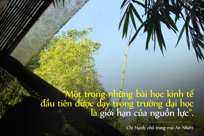 Ở vườn rừng An Nhiên, nhiều loài cây ở nhiều tầng tán chung sống, nương tựa vào nhau, cho thu hoạch hoa trái bốn mùa mà không tốn nhiều công chăm bón. Tre dường như là đặc sản ở miền quê này Những ngôi nhà bằng tre, có nhiều cửa sổ đón ánh nắng, đón gió trời, như một chiếc “điều hoà nhiệt độ tự nhiên” trong những ngày hè. Cuộc sống yên bình trở lại Triêm Tây, từ khi xói lở được kiểm soát Ở An Nhiên, từng chiếc cây đều được nâng niu, vun trồng cẩn thận, với quan điểm “trồng 10 cây sống cả 10, rất khác với việc trồng trăm cây sống 10. Kết quả có thể giống