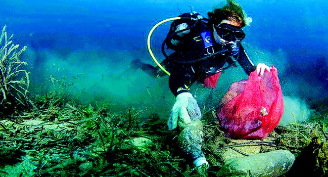 A Plastic Ocean - Ám ảnh rác nhựa ảnh 2