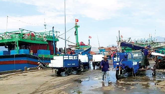 Phát triển dịch vụ hậu cần nghề cá là động lực thúc đẩy ngành thủy sản phát triển