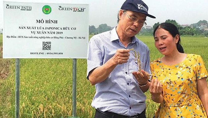 Người dân xã Đồng Phú phấn khởi với mô hình sản xuất lúa hữu cơ đem lại giá trị kinh tế cao