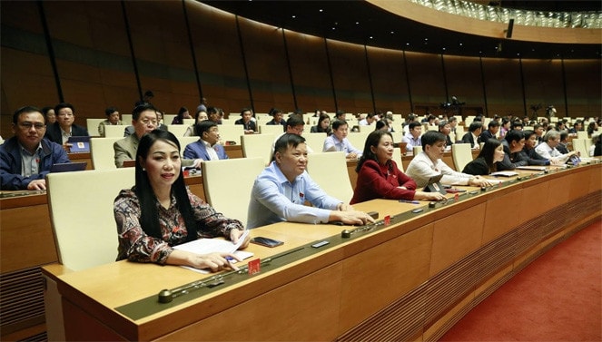 Các Đại biểu bấm nút thông qua