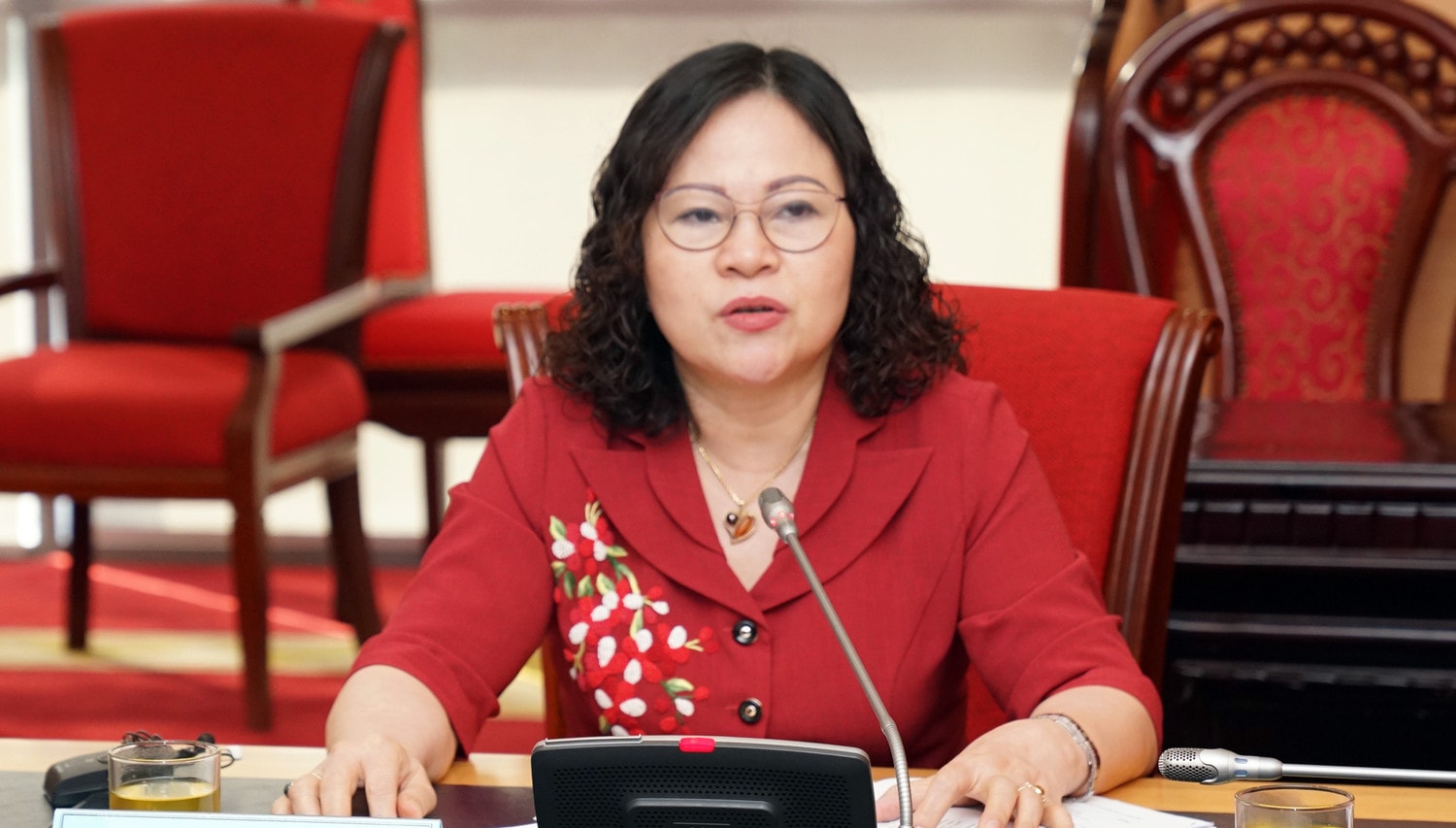 Bà Ngô Thị Minh, Phó chủ nhiệm Ủy ban Văn hóa, Giáo dục, Thanh niên, Thiếu niên và Nhi đồng của Quốc hội - Ảnh: Duy Thông
