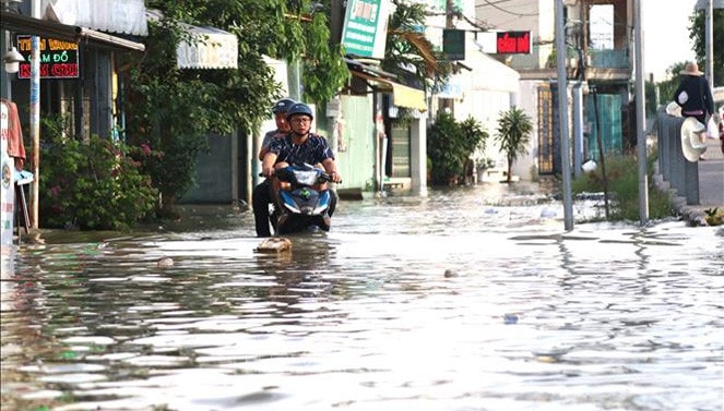 Triều cường gây ngập sâu tại khu vực cầu Phú Xuân, tiếp giáp huyện Nhà Bè và quận 7, ngày 29.10.2019. (Ảnh minh họa: Trần Xuân Tình/TTXVN)