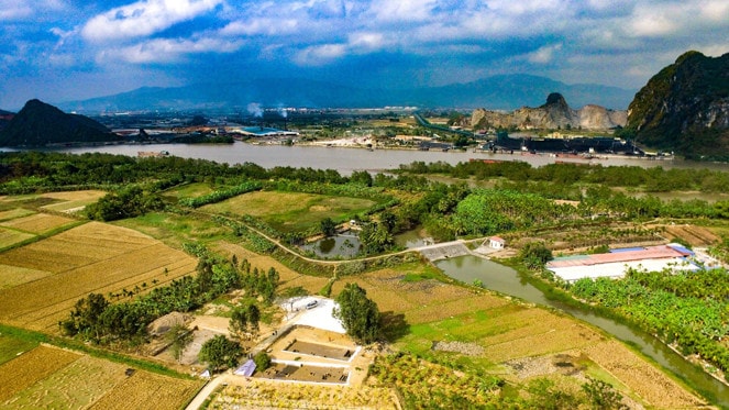 Toàn cảnh bãi cọc Cao Quỳ, xã Liên Khê, huyện Thủy Nguyên
