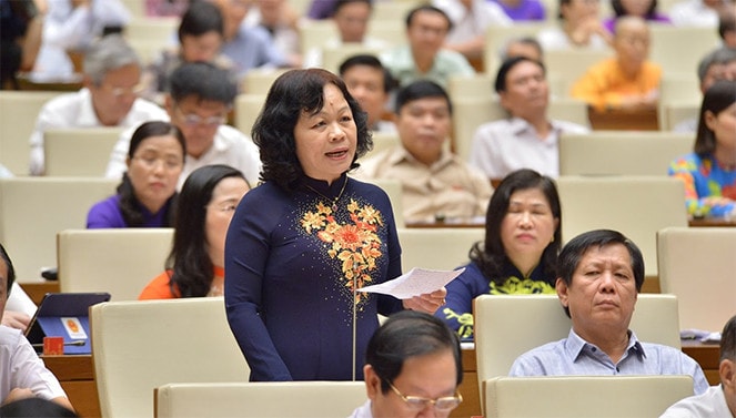 ĐBQH Nguyễn Thị Mai Hoa (Đồng Tháp) đặt câu hỏi chất vấn Ảnh: Quang Khánh