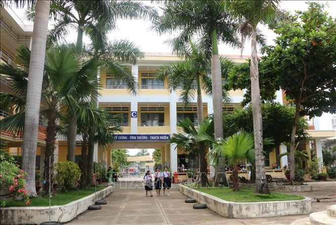 16 cây cau hơn 10 năm tuổi trong sân trường Trung học cơ sở Lý Tự Trọng, thành phố Tân An được đốn hạ do chiều cao vượt các dãy nhà lầu, gốc cây một phần trồi trên mặt đất, có nguy cơ ngã đổ trong mùa mưa
