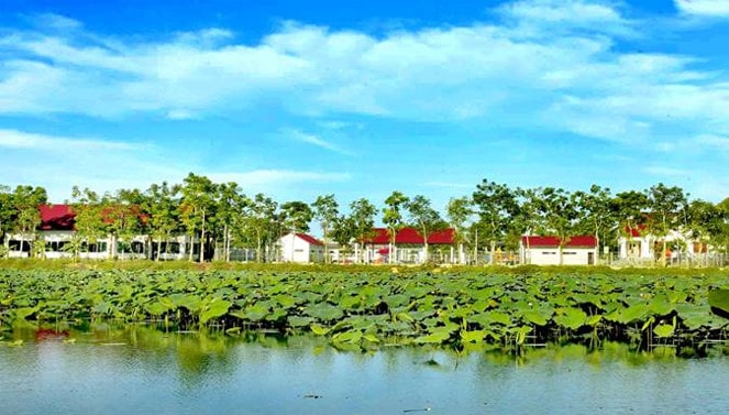 Khu sinh thái cây xanh và Câu lạc bộ thể thao Bách Đại Dũng