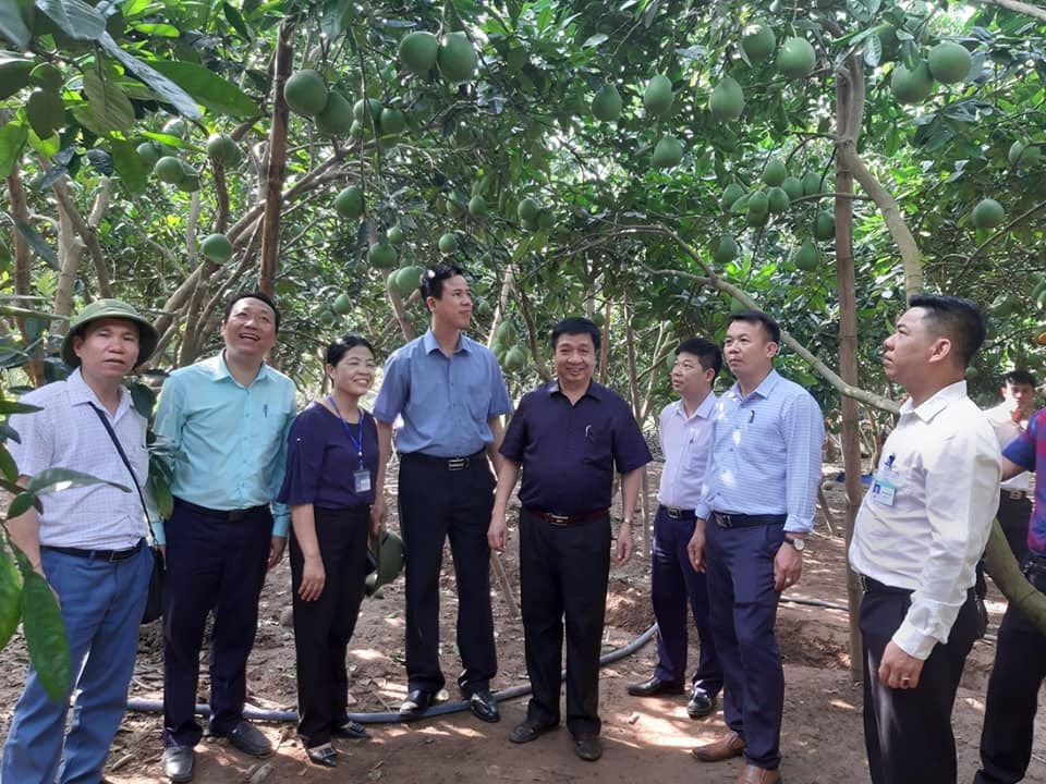 Đoàn công tác của VPĐP NTM Hà Nội thăm một số mô hình kinh tế tại huyện Phúc Thọ. Ảnh: Tường Vi