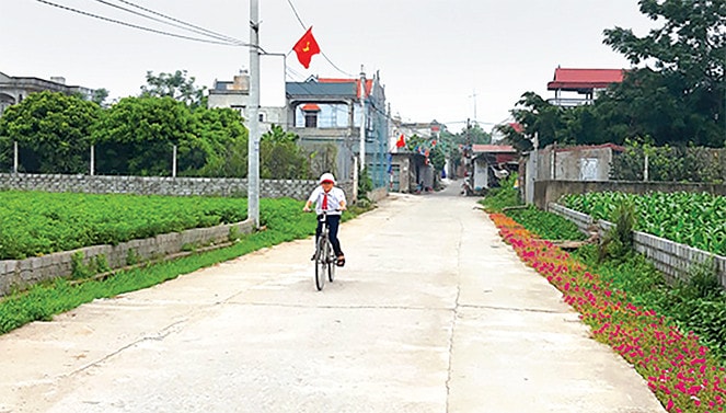 Một góc nông thôn mới huyện Phú Xuyên Ảnh: Tường Vy