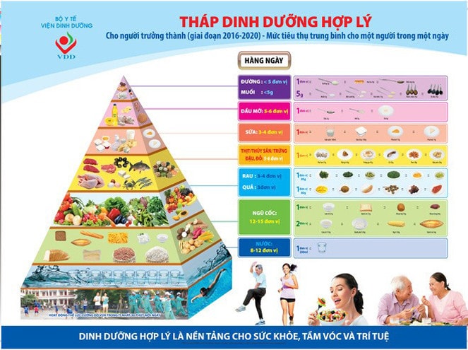 Tháp dinh dưỡng cho sức khỏe người Việt. Nguồn: Viện Dinh Dưỡng