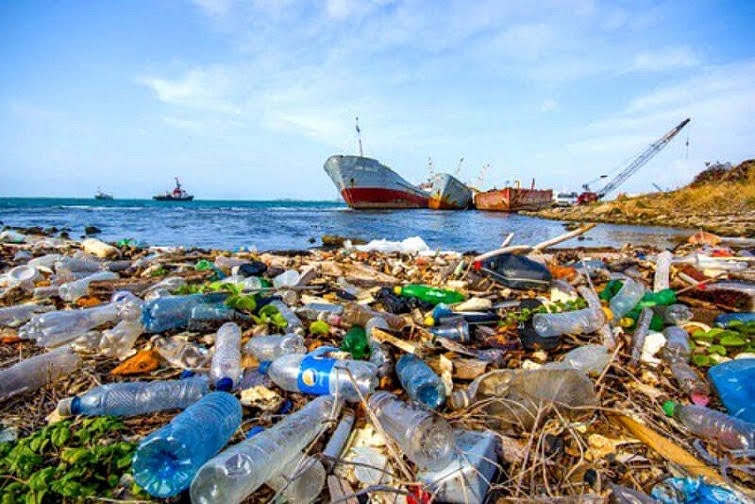 Rác thải nhựa trôi dạt gây ô nhiễm môi trường biển. Nguồn: ITN