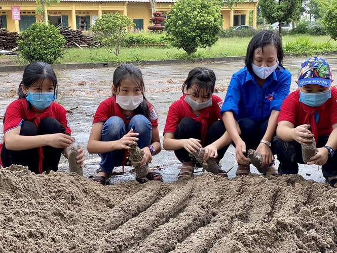 Công trình góp phần nâng cao ý thức sử dụng vật liệu nhựa trong học sinh