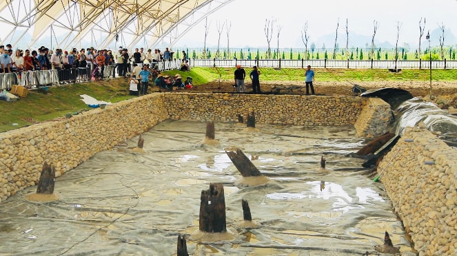 Bãi cọc Cao Quỳ, xã Liên Khê, huyện Thuỷ Nguyên
