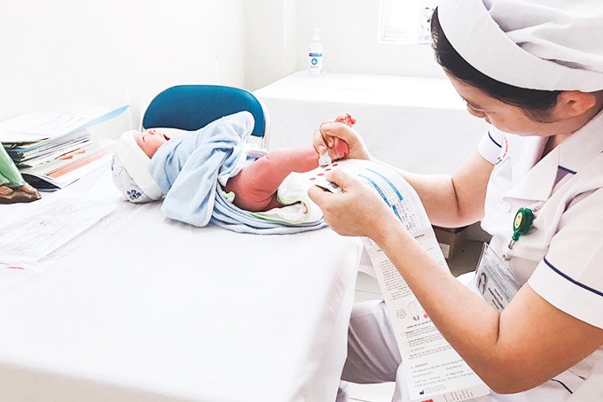 Lấy máu gót chân, tầm soát bệnh cho trẻ sơ sinh tại Khoa Nhi, Bệnh viện Đa khoa tỉnh Khánh Hòa.