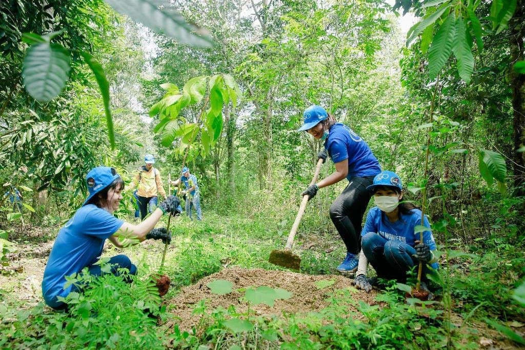 Phát triển bền vững diện tích rừng là cơ hội tạo ra nguồn tài chính mới cho Việt Nam nhờ ERPA