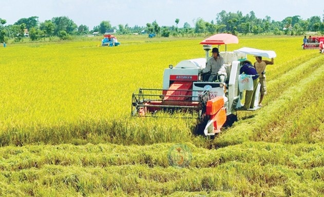 Đến nay, cả nước có hơn 2.000 hợp tác xã sản xuất, kinh doanh gắn với chuỗi giá trị, áp dụng công nghệ cao