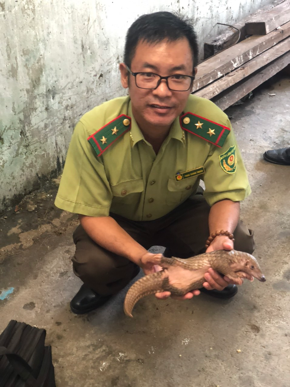 Cá thể tê tê "đi lạc" đã được các cán bộ kiểm lâm tiếp nhận ngay trong ngày