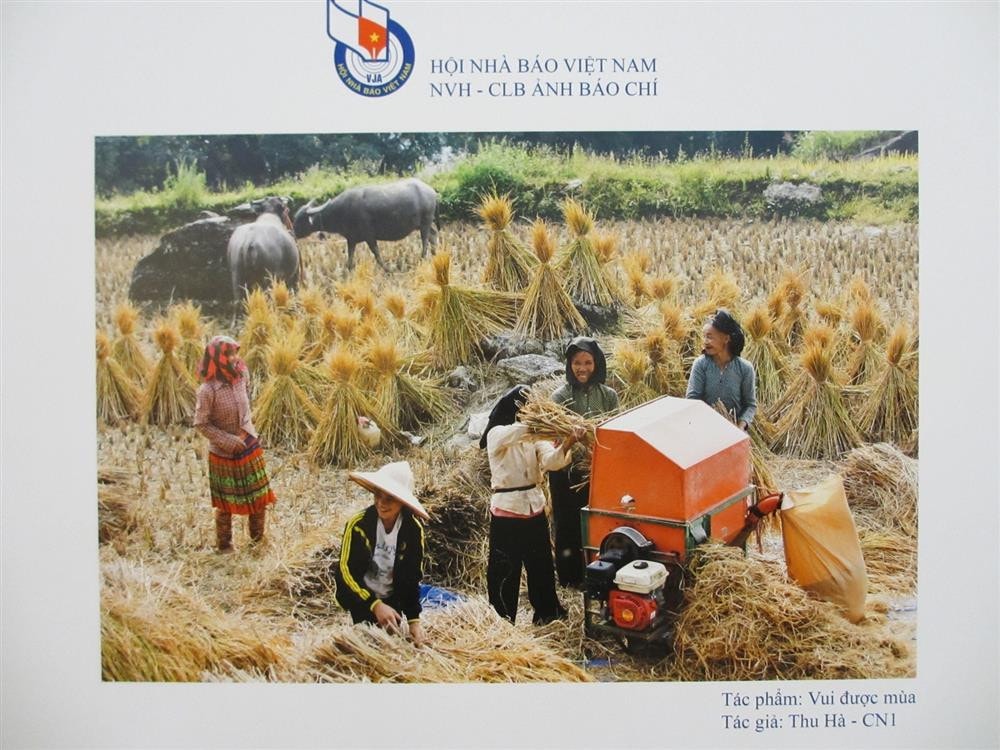 Việt Nam hiện ra qua ống kính của các nhà báo ảnh là hình ảnh nông thôn ngày mùa...