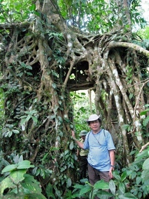 Họa sĩ Trịnh Lữ tìm kiếm ngôi nhà năm xưa của gia đình trên đỉnh Ba Vì