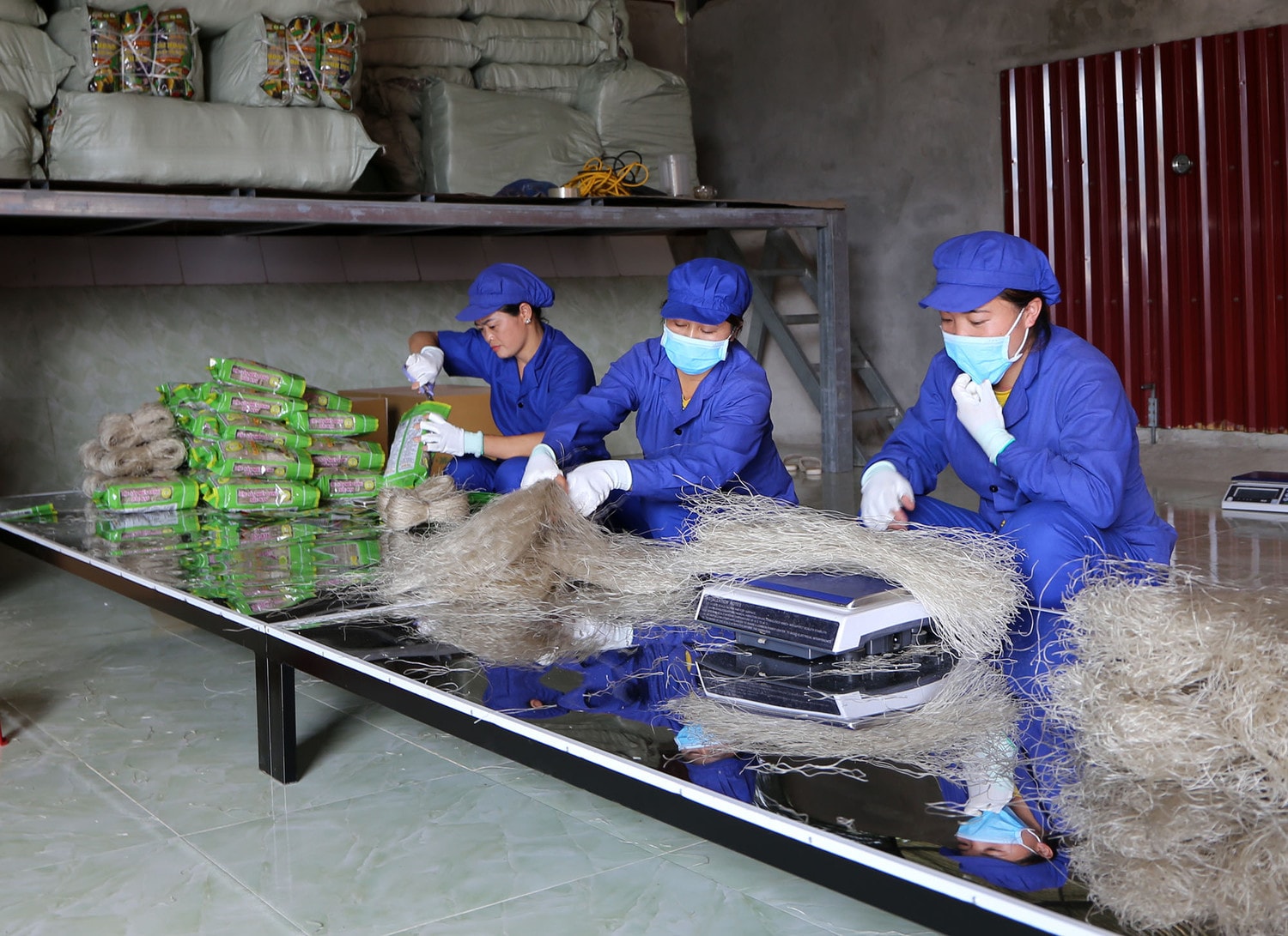 Công nhân đóng gói sản phẩm miến dong tại Hợp tác xã Tài Hoan