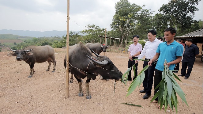Thu nhập của người dân Mường Nhé vẫn là tiêu chí khó thực hiện ở địa phương 30A