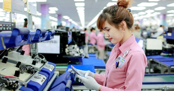 Bình đẳng trên thị trường lao động