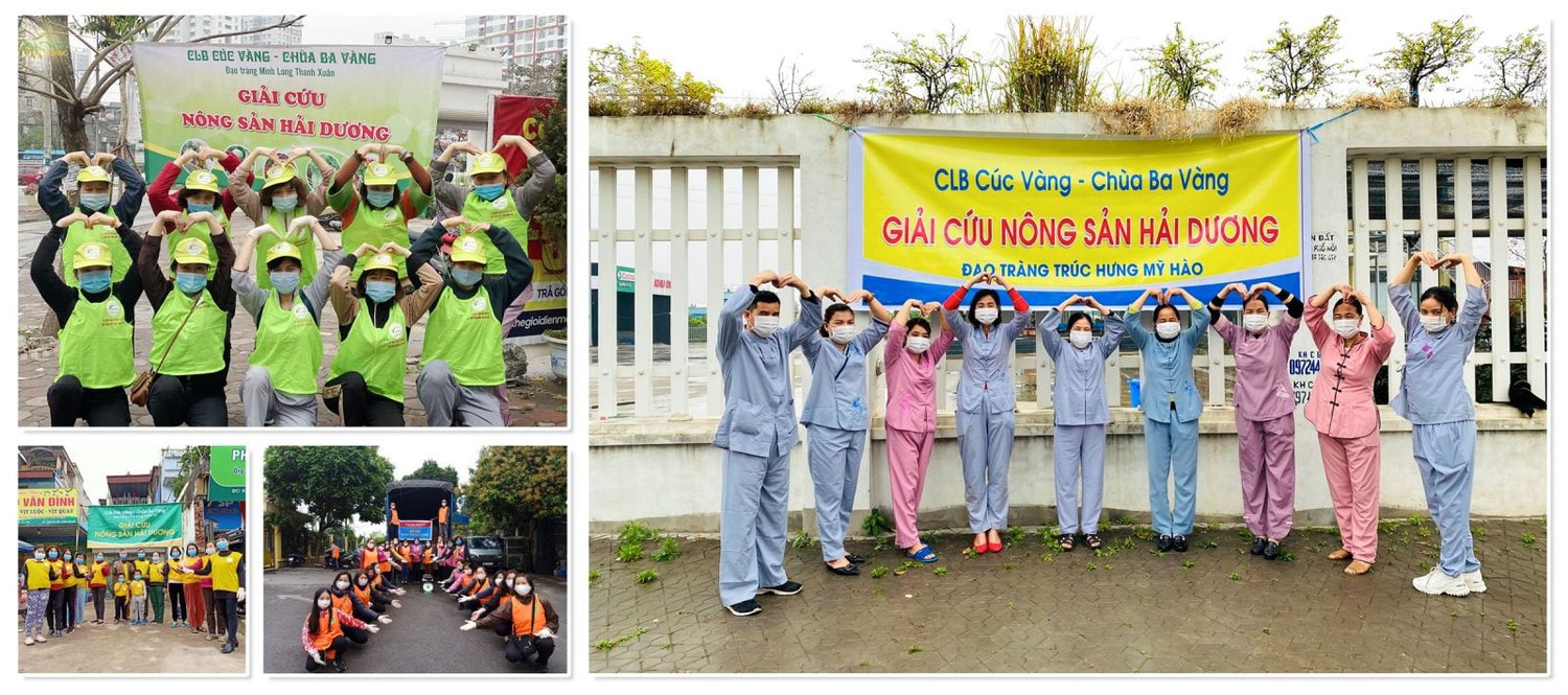 Phật tử CLB Cúc Vàng - chùa Ba Vàng tham gia giải cứu nông sản Hải Dương bằng nhiều hành động thiết thực, ý nghĩa