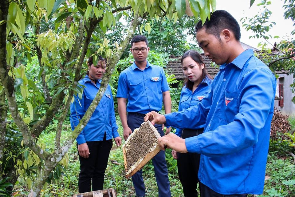 Tạo môi trường, động lực để thanh niên sáng tạo khởi nghiệp Nguồn: ITN