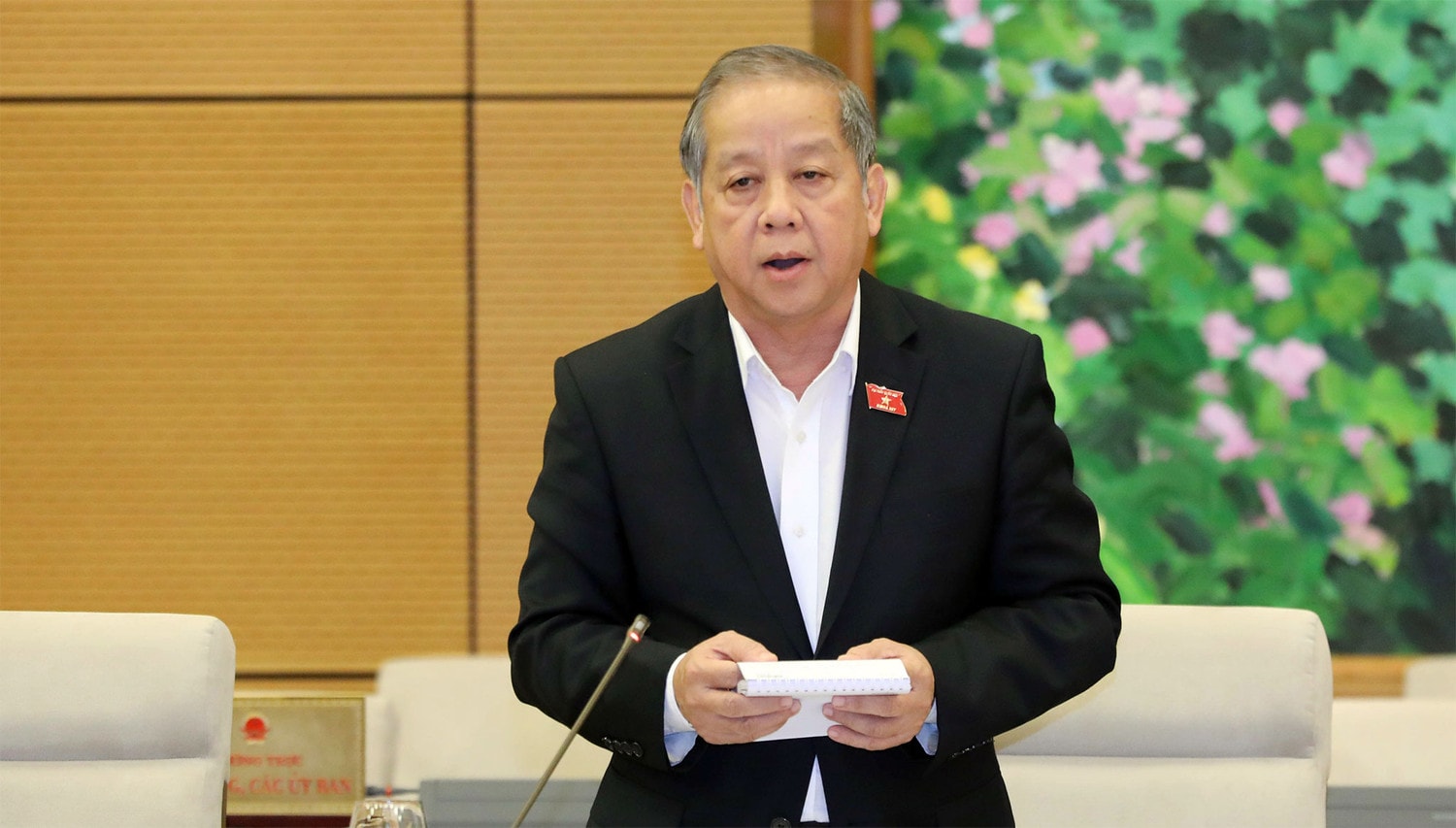 Chủ tịch UBND tỉnh Thừa Thiên Huế Phan Ngọc Thọ phát biểu
