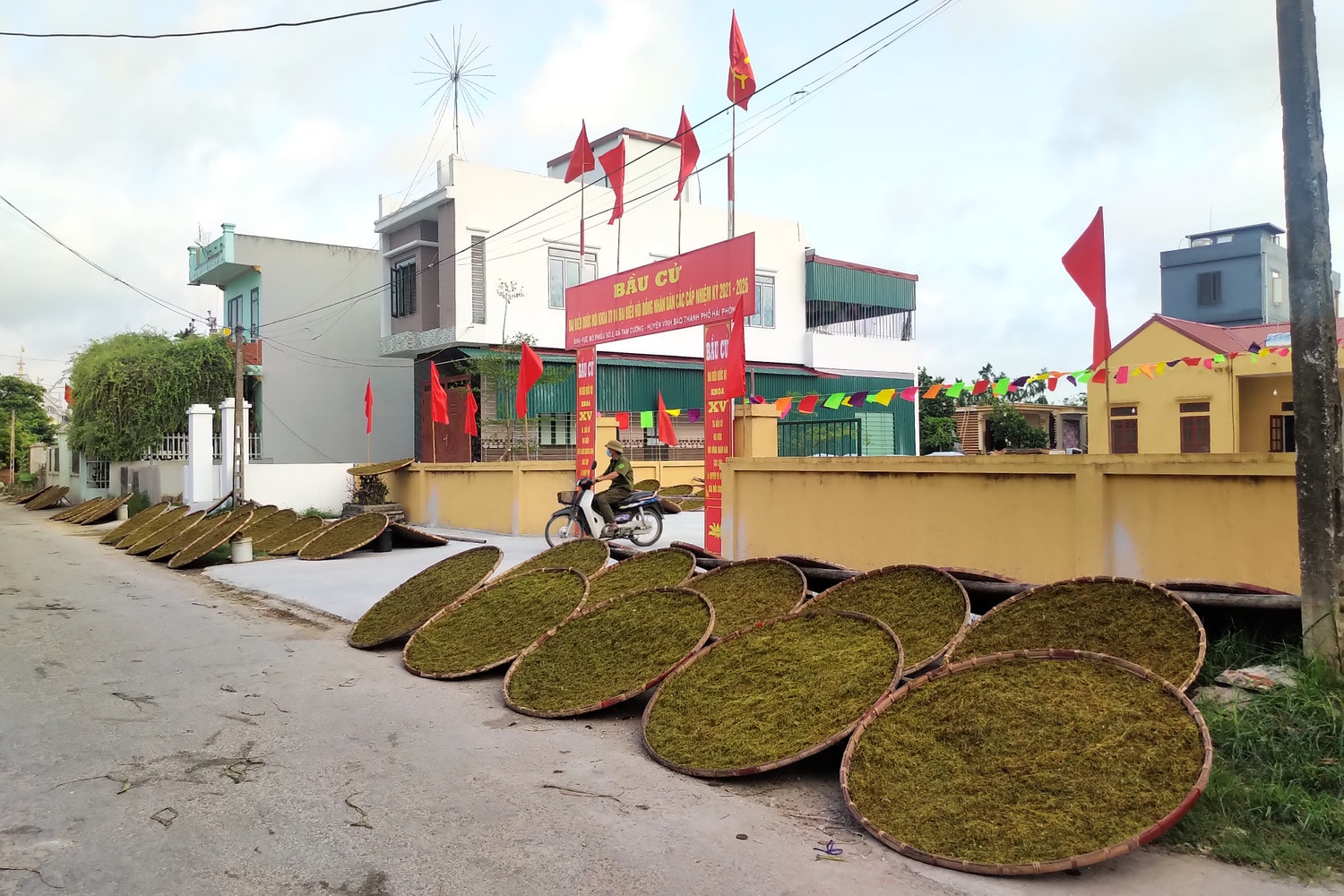 Khu vực bầu cử ở thôn 2, xã Tam Cường, huyện Vĩnh Bảo có 741 cử tri. Cuộc bầu cử diễn ra đúng vào thời điểm bà con bước vào vụ thu hoạch thuốc lào.